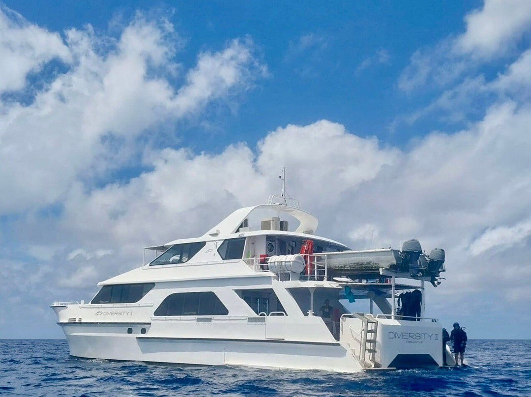 Diversity Charters-布鲁姆必去景点