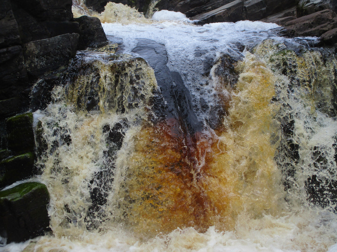 Nelson Bay River Falls-Arthur River必去景点