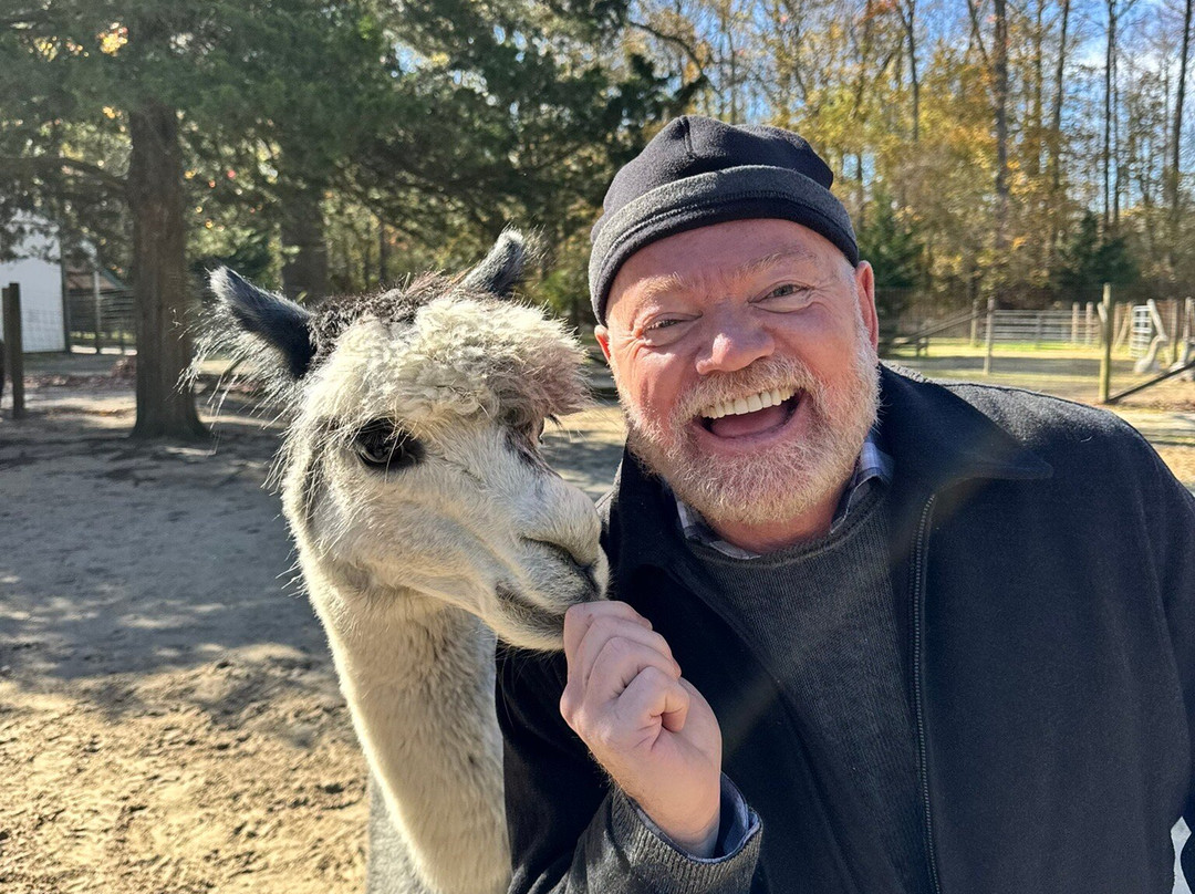 Jersey Shore Alpacas-开普梅必去景点