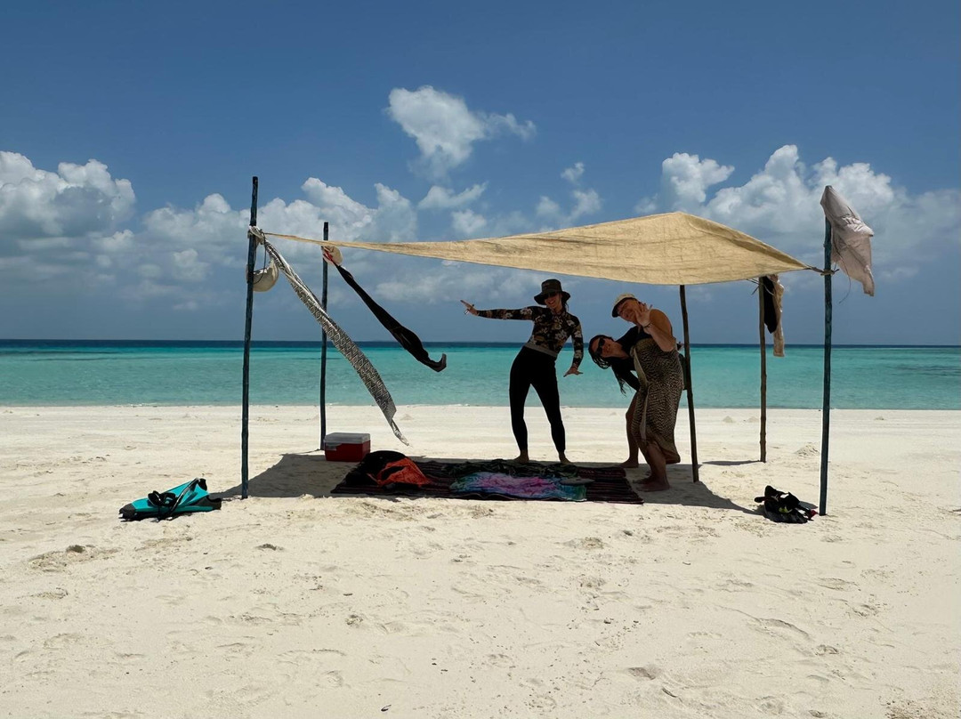 Safari Shwari Mafia Island-Utende必去景点