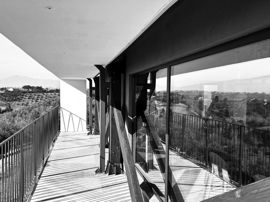 Vigneti Vallorani-Colli Del Tronto必去景点