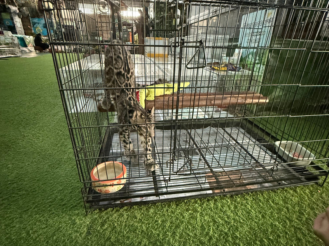 Monster Aquarium-芭堤雅必去景点