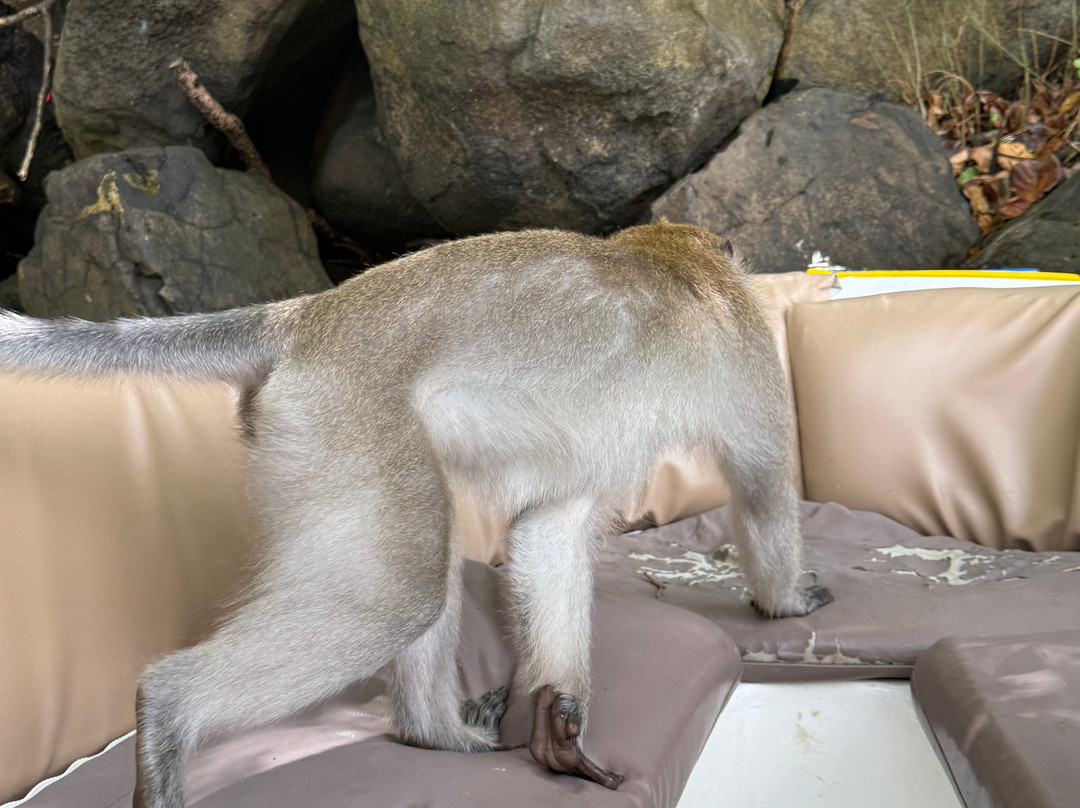 Apollon Cruise-Palmar必去景点