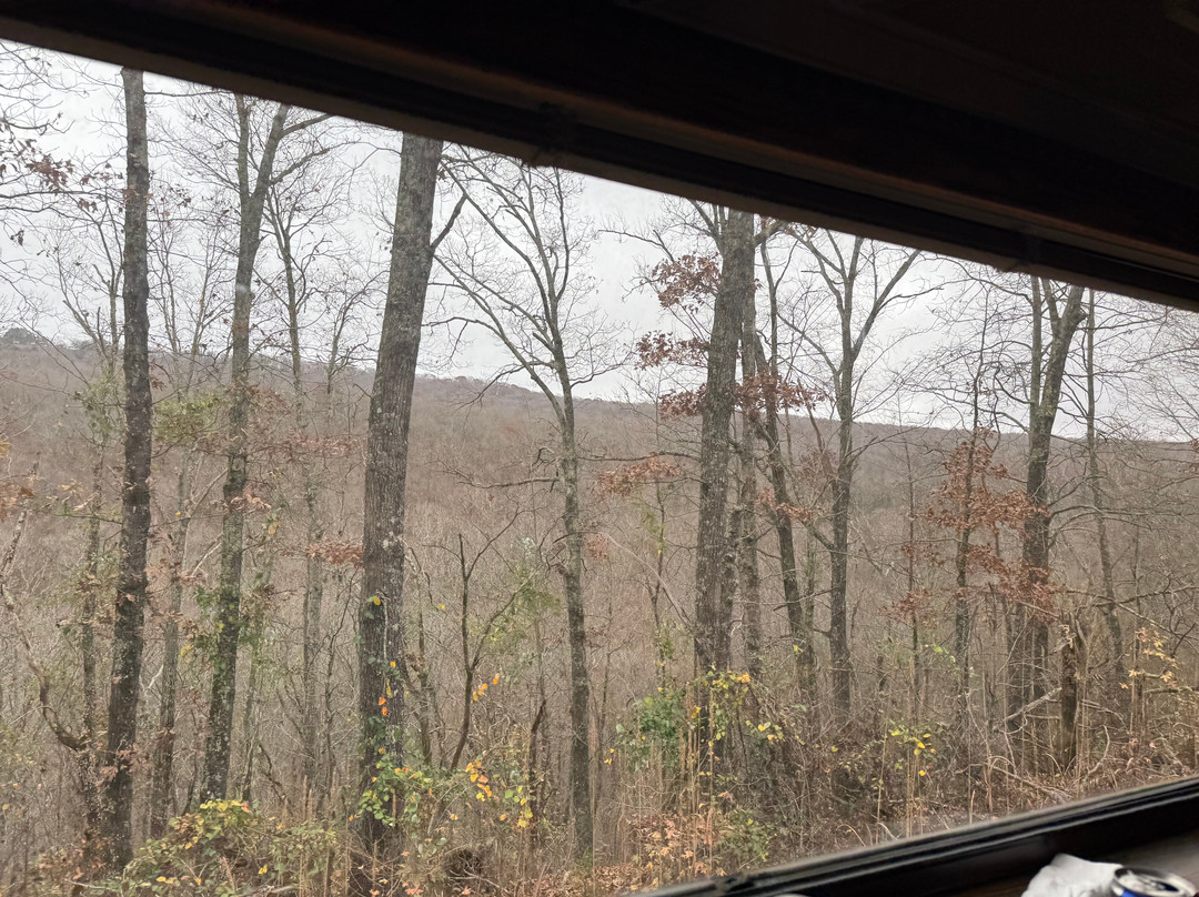 Arkansas & Missouri Railroad-Springdale必去景点