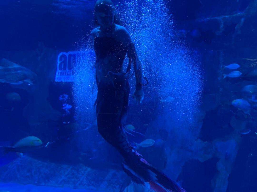 Aquaria Phuket Thailand-普吉镇必去景点