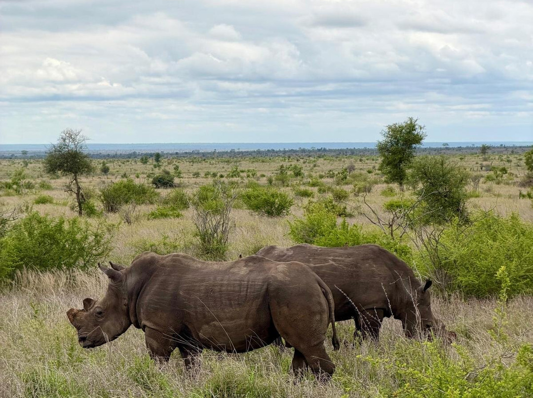 Wildpride Adventures-霍德斯普鲁特必去景点