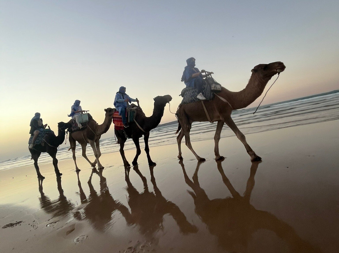 Diana Dromadaires-索维拉必去景点