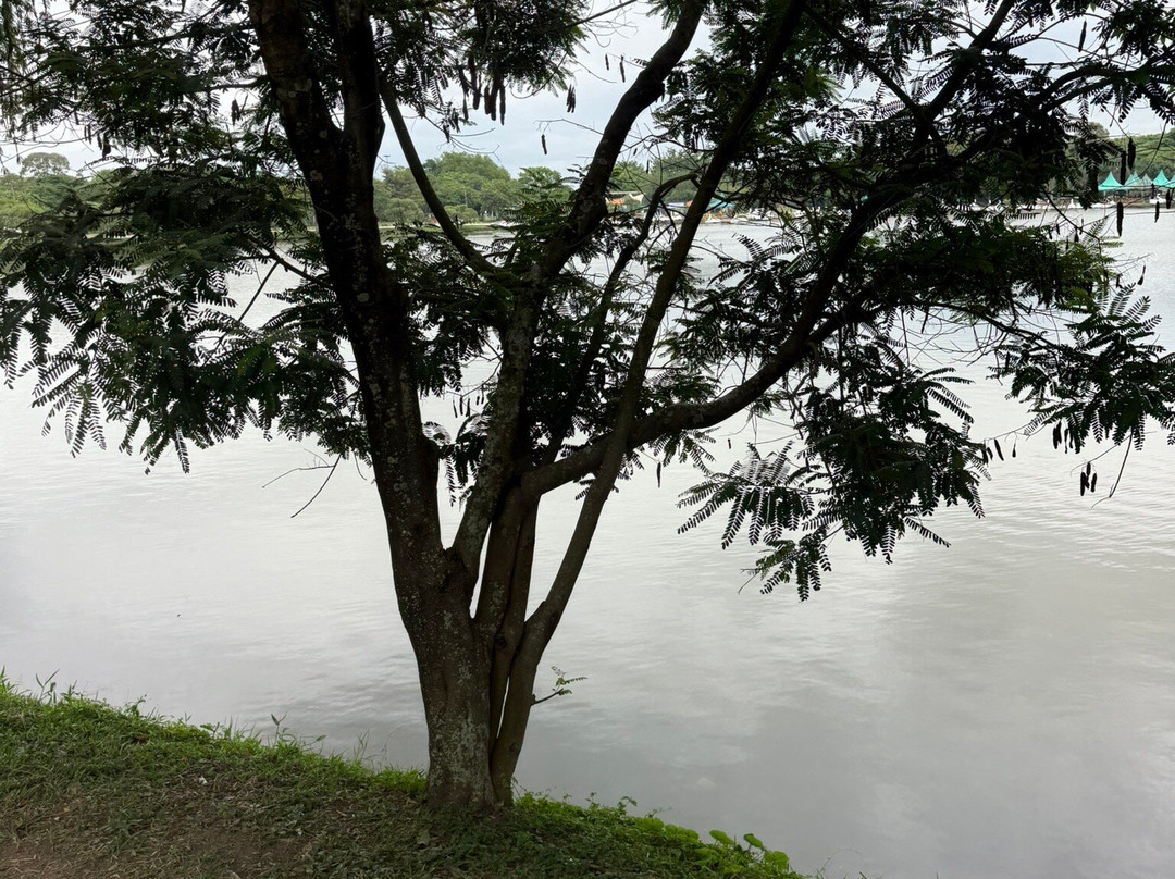 Parque Ecologico do Tiete-圣保罗必去景点