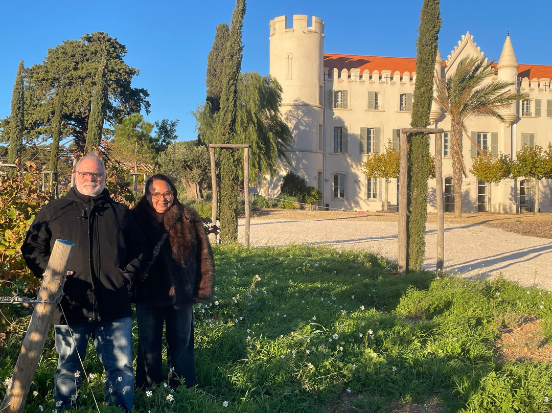 Dégustation Vignes Et Patrimoine