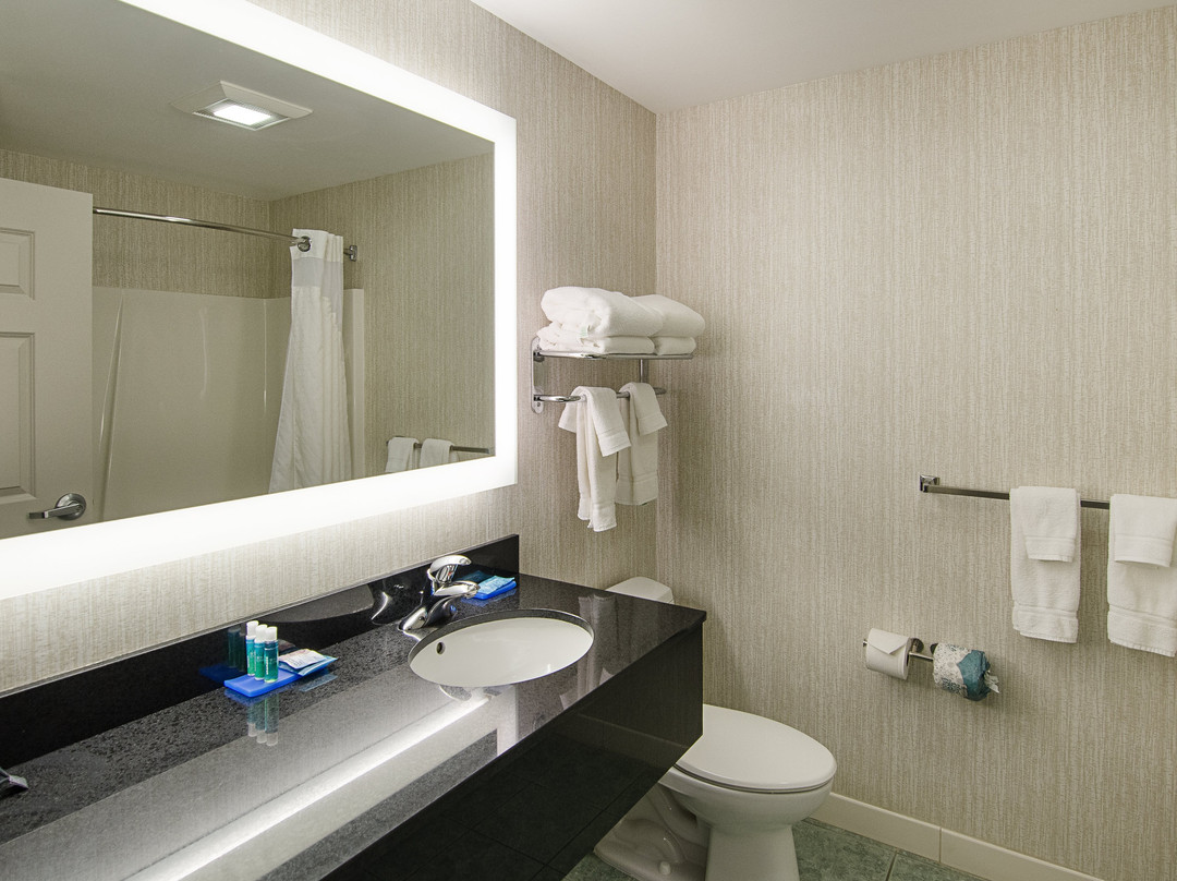 列克星敦酒店住宿-Holiday Inn Express Lexington By IHG