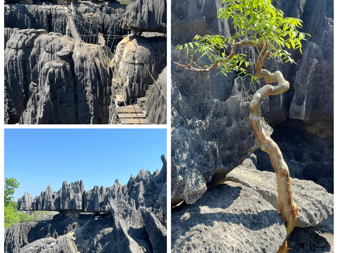 Lemur Tours-安塔那那利佛必去景点