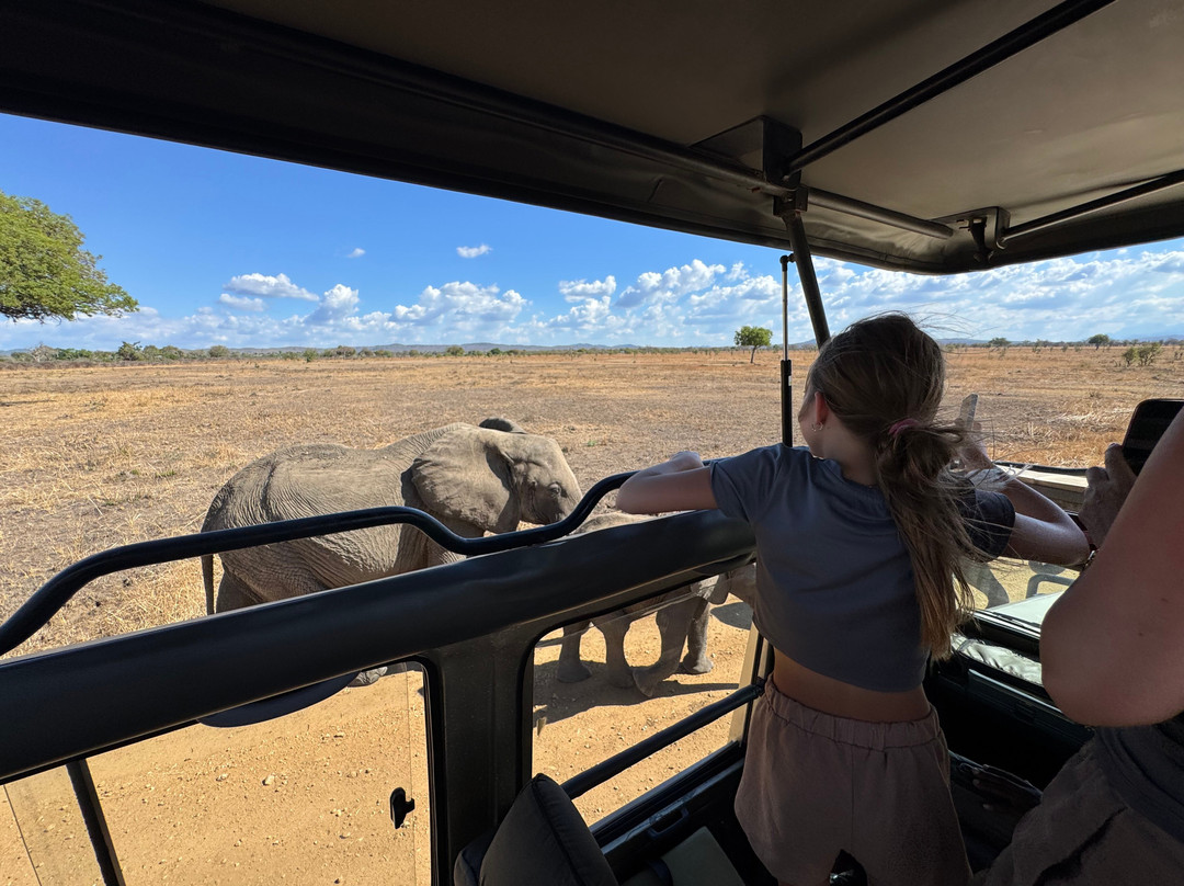 Passionate Safaris-Dar es Salaam必去景点