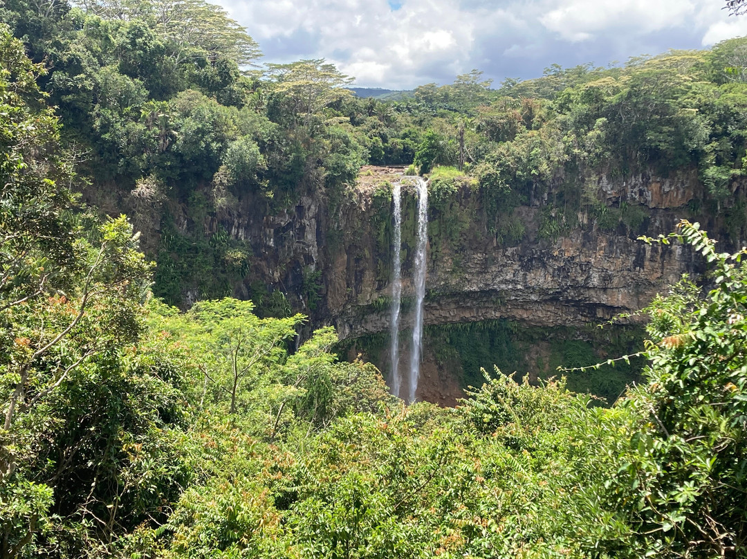 The Friendly Dodo-路易士港必去景点