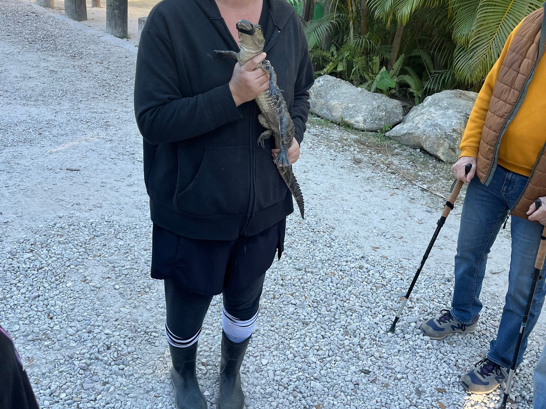 Croc Encounters-坦帕必去景点