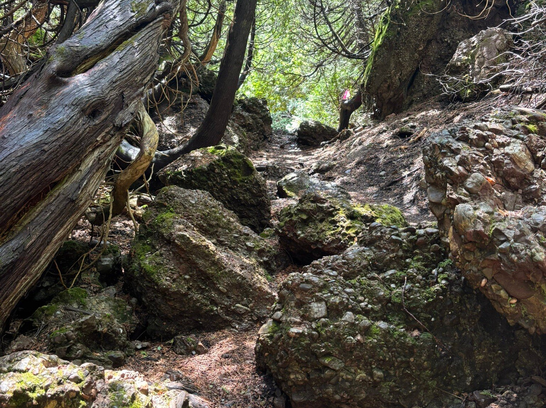 Boucle De La Forêt Magique-Perce必去景点