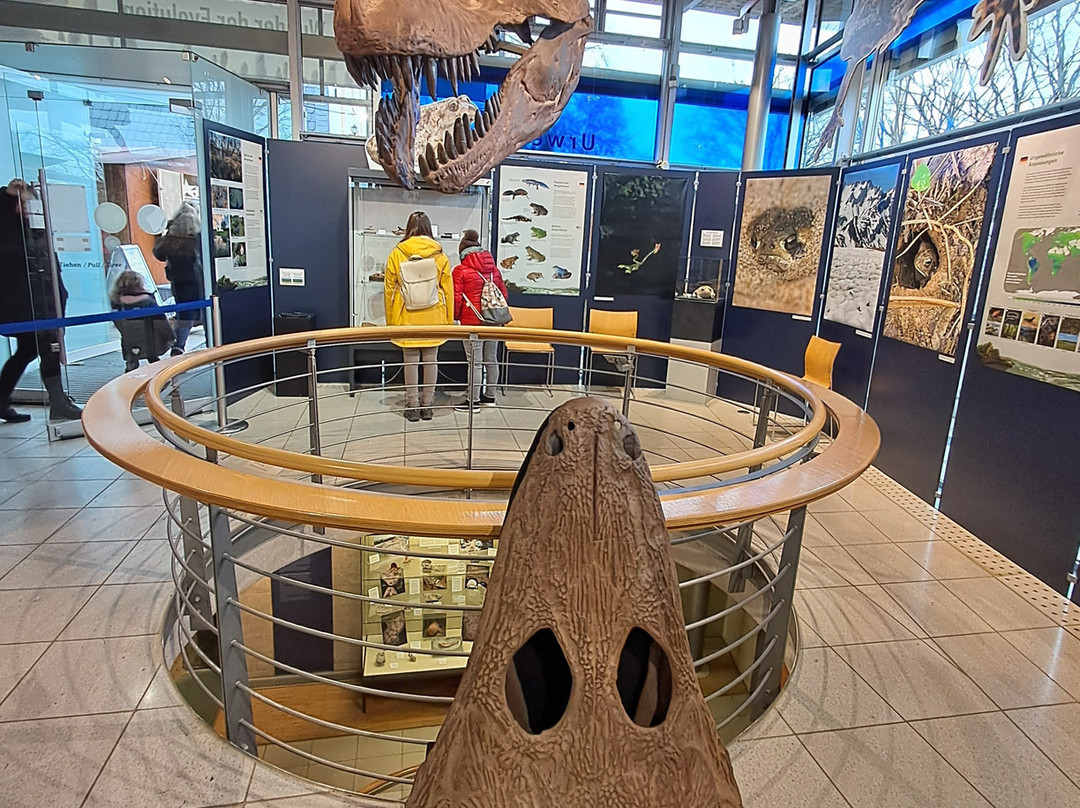 Burg Lichtenberg-Thallichtenberg必去景点