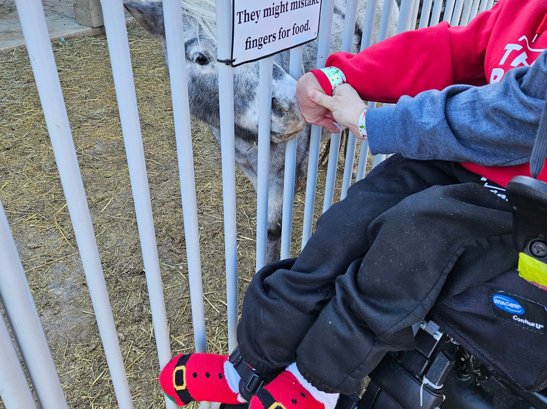 Winchester Creek Farm-韦恩斯维尔必去景点