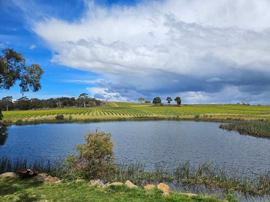Milton Vineyard-斯旺西必去景点