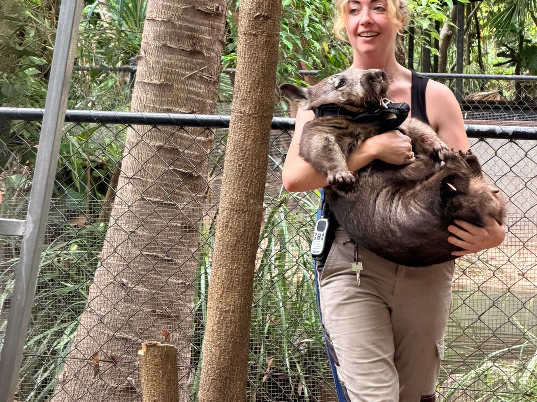 Selina Magnetic Island & The Koala Park-Horseshoe Bay必去景点