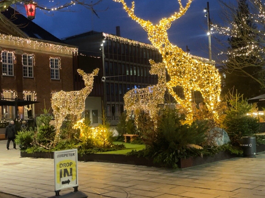 科罗曼酒店主图