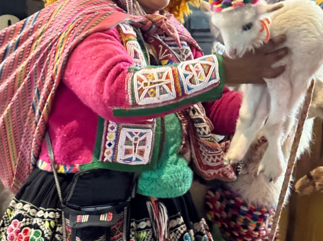 Jat Peru Adventures-伊卡必去景点