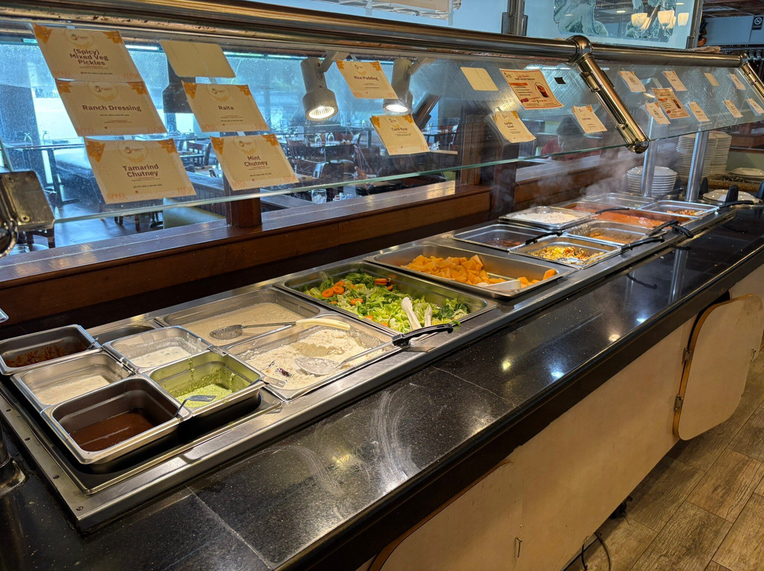 5th Element Indian Grill