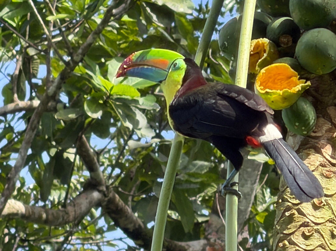 Panama Road Trips-巴拿马城必去景点
