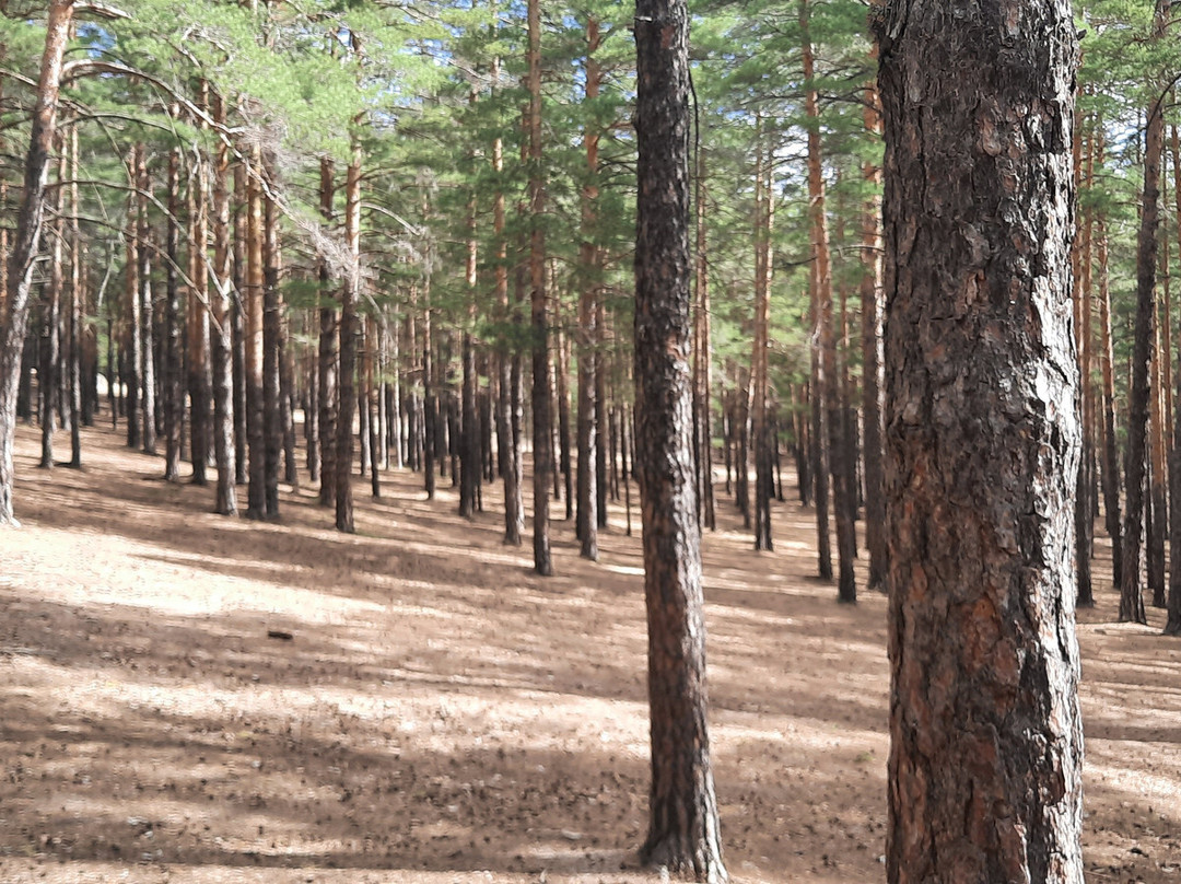 Victoria Cinema-摩德纳必去景点