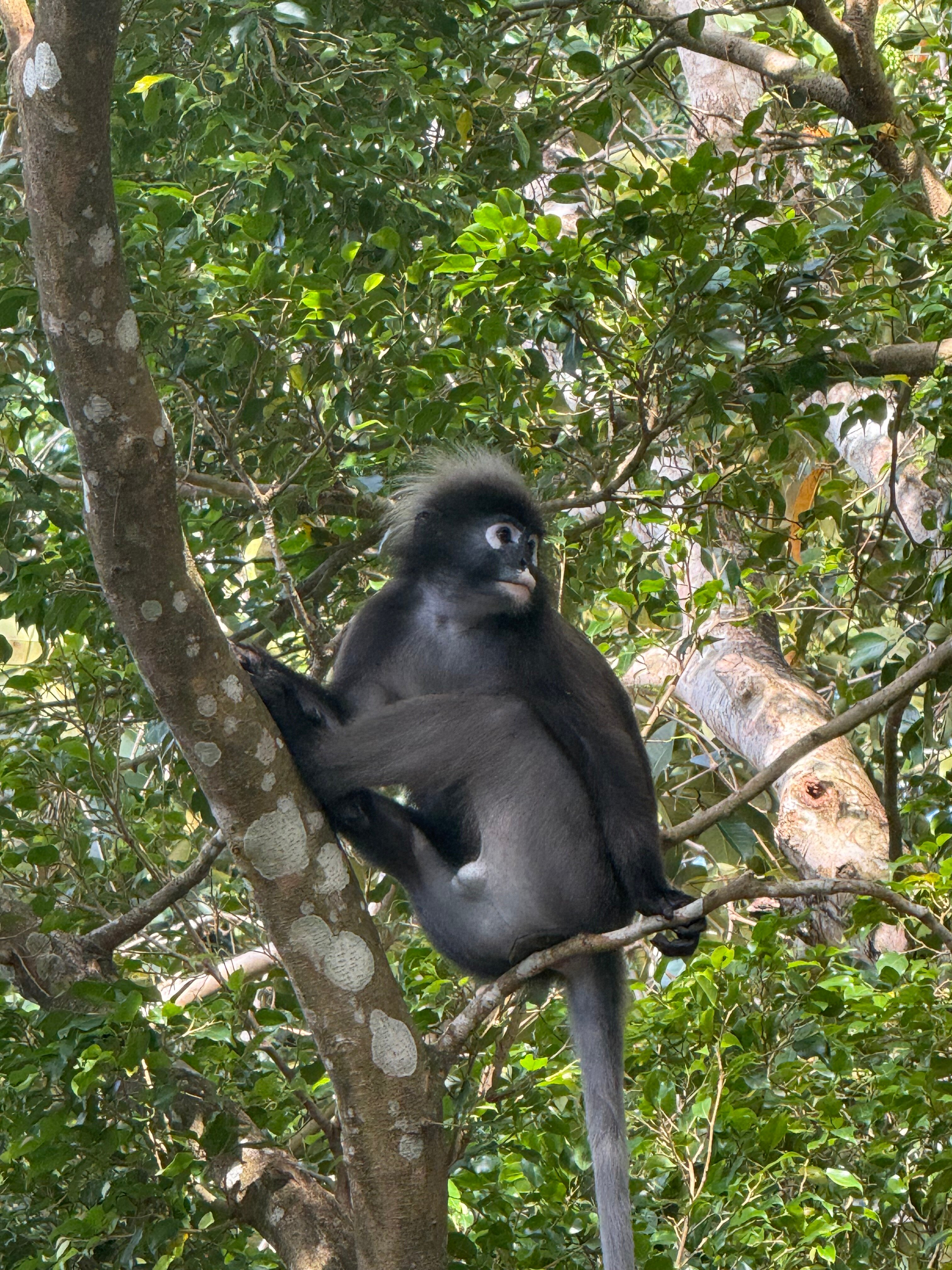 成功浮罗交怡度假村-浴室