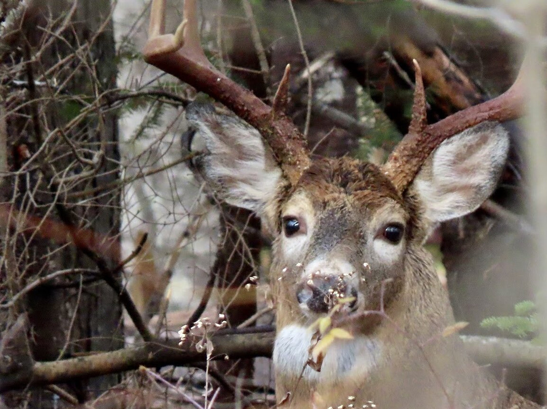 Fort Point State Park-Stockton Springs必去景点