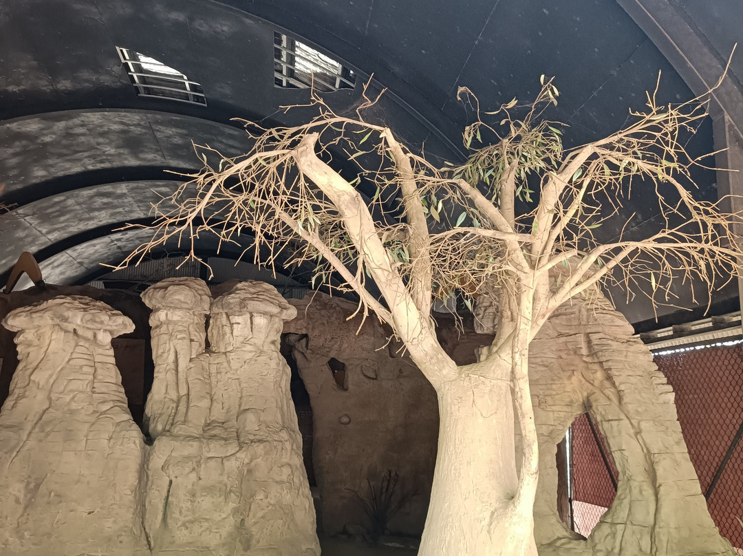 Dreamtime Cultural Centre-罗克汉普顿必去景点