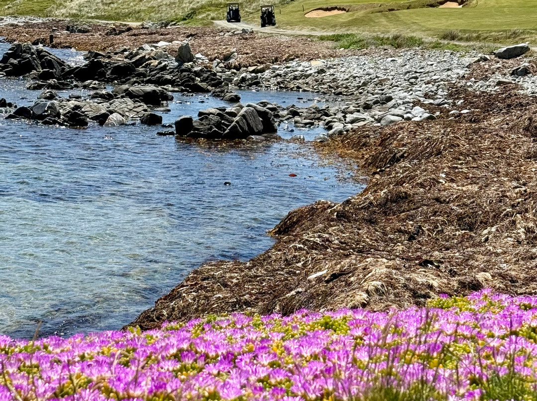 Air Adventure Golf-埃森登必去景点