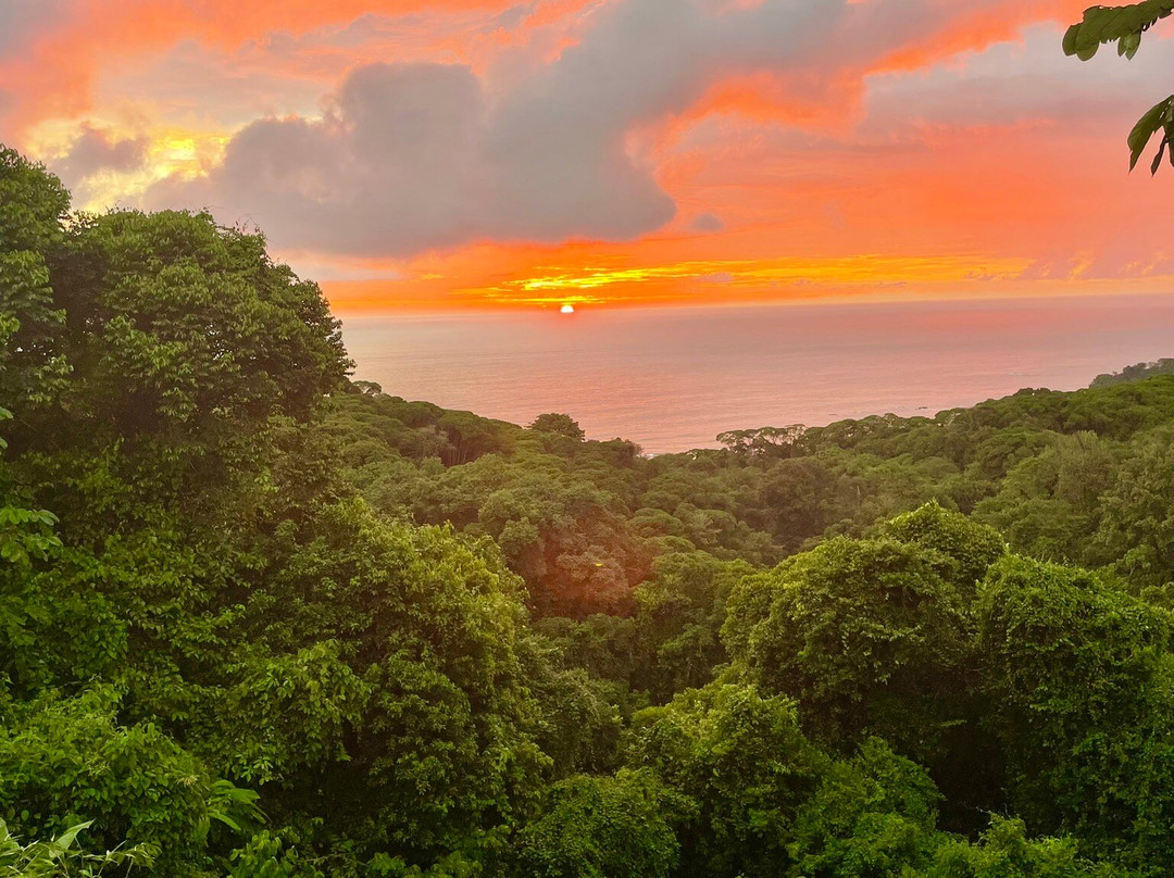 Alturas Wildlife Sanctuary-主日镇必去景点