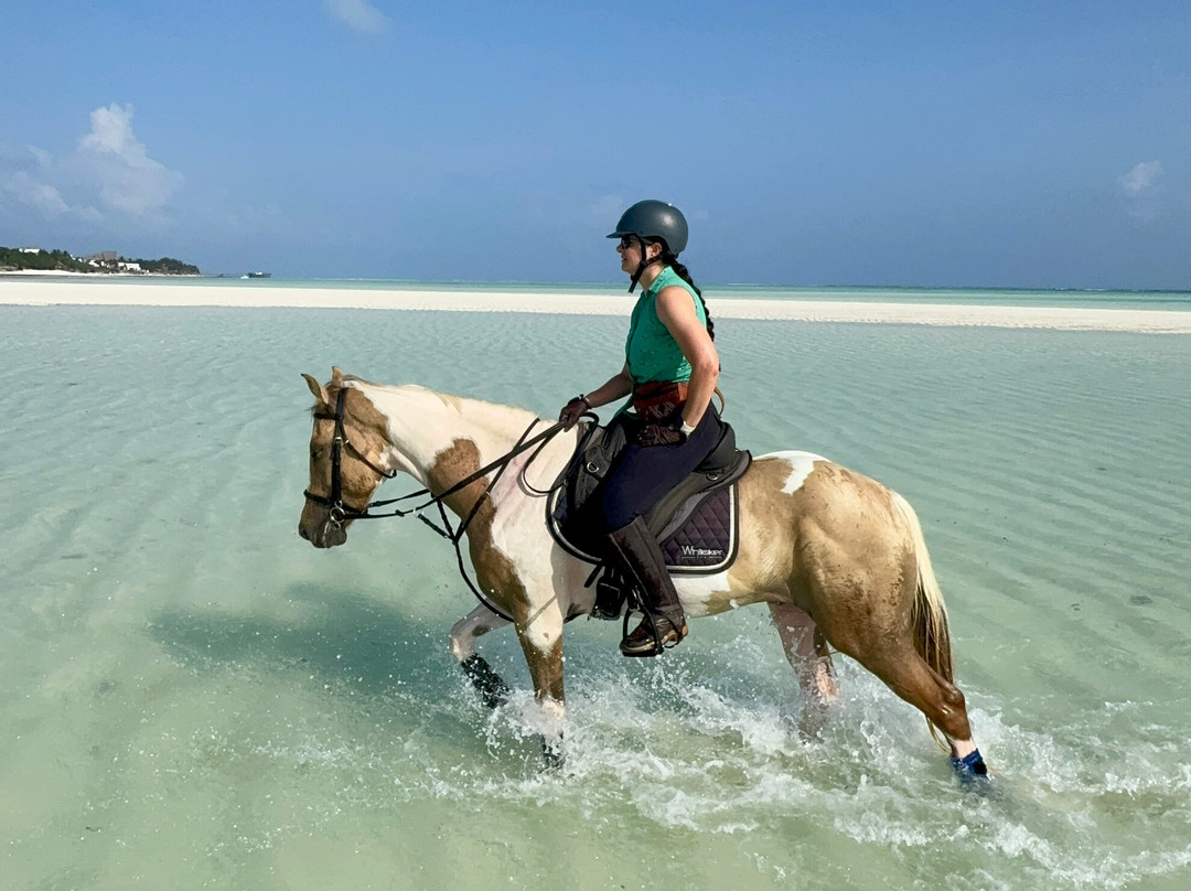 Zanzibar Horse Club-孥归必去景点
