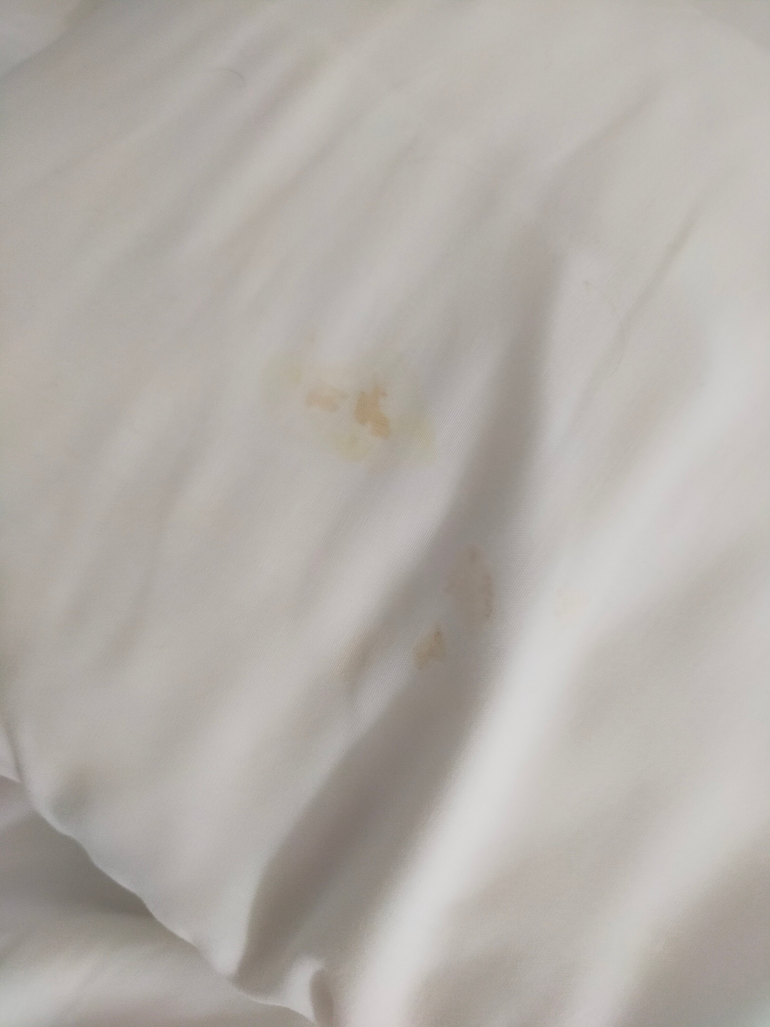 Hotel Tamasite-官方