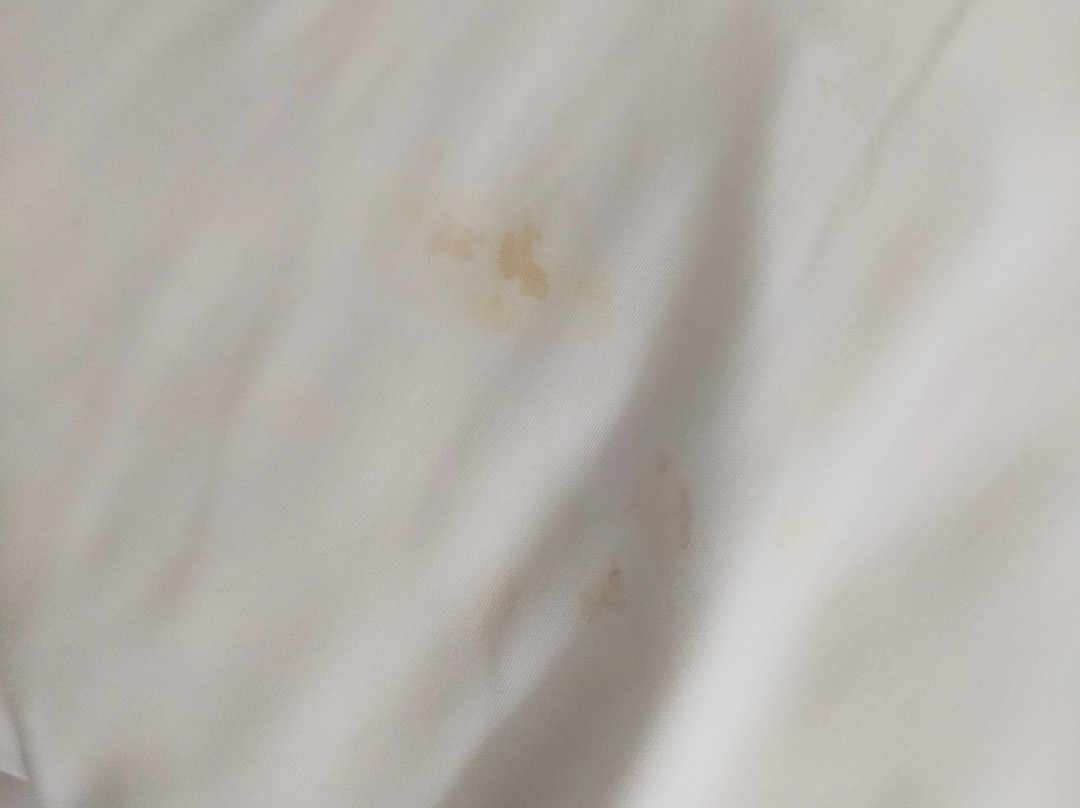 Hotel Tamasite主图