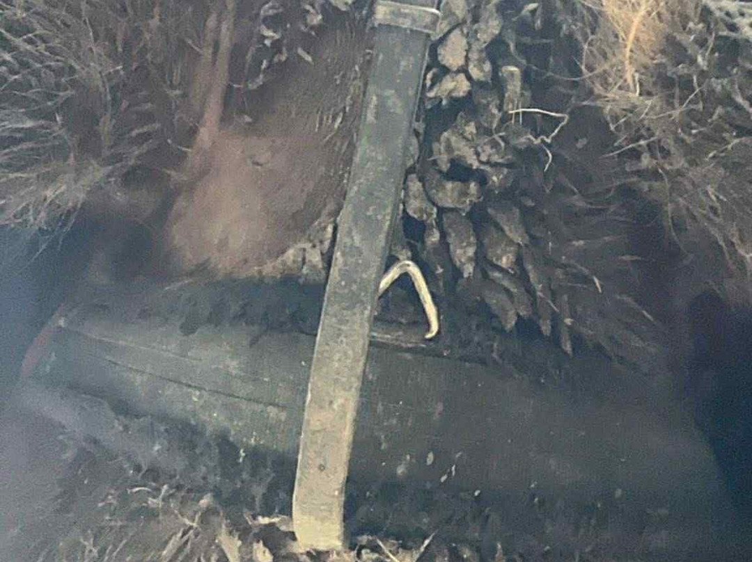 Caradon Hill Trekking and Equestrian Centre-Pensilva必去景点