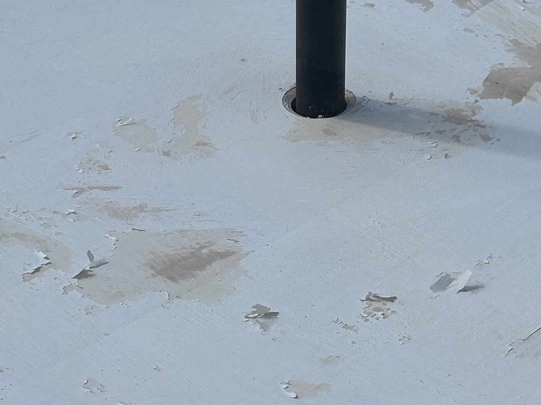 Plum Tree Club主图