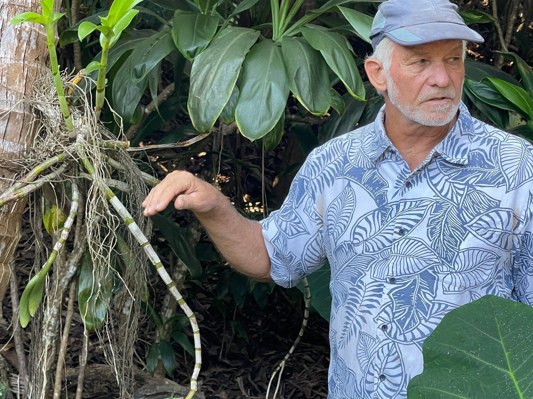 Hawaiian Organic Noni-基拉韦厄必去景点