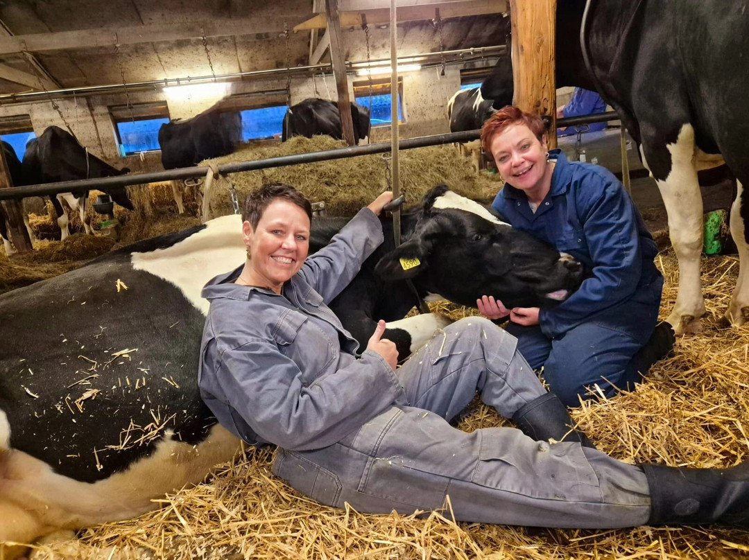 De Knuffelboerderij-Uddel必去景点