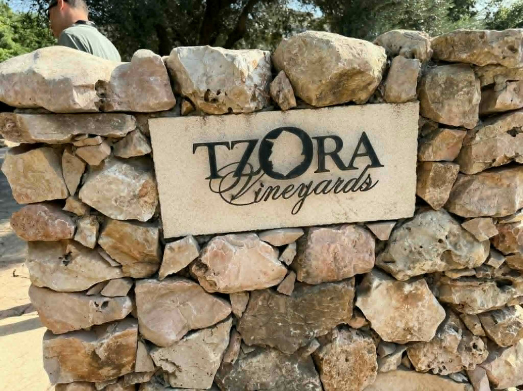 Israel Wine Tour-特拉维夫必去景点