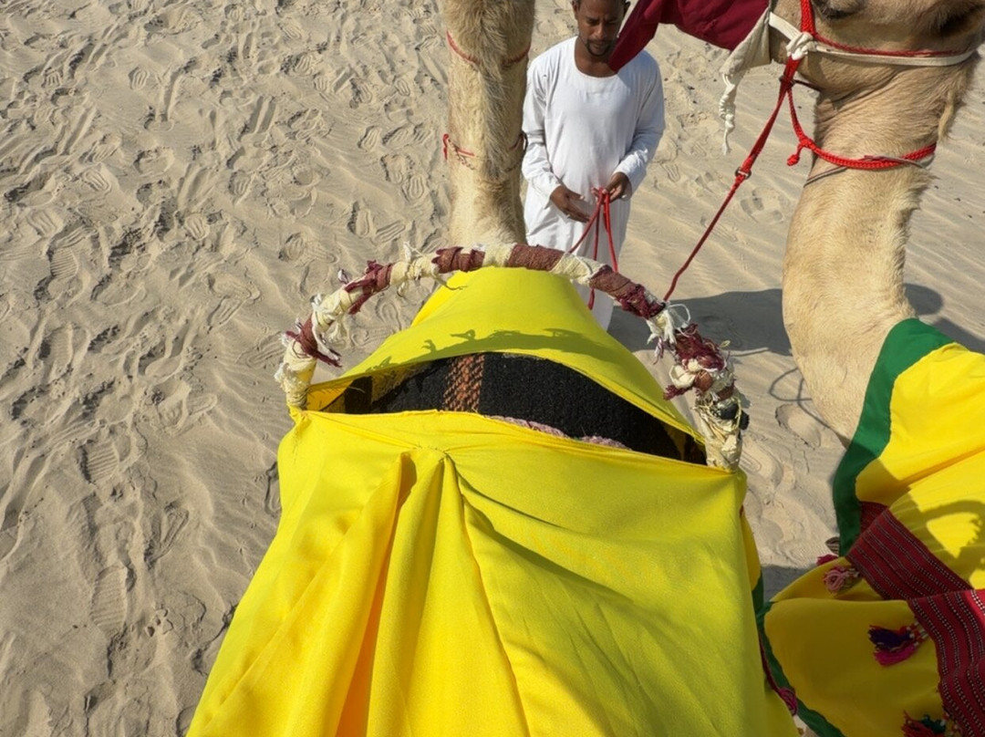 Al Majles Resort-多哈必去景点