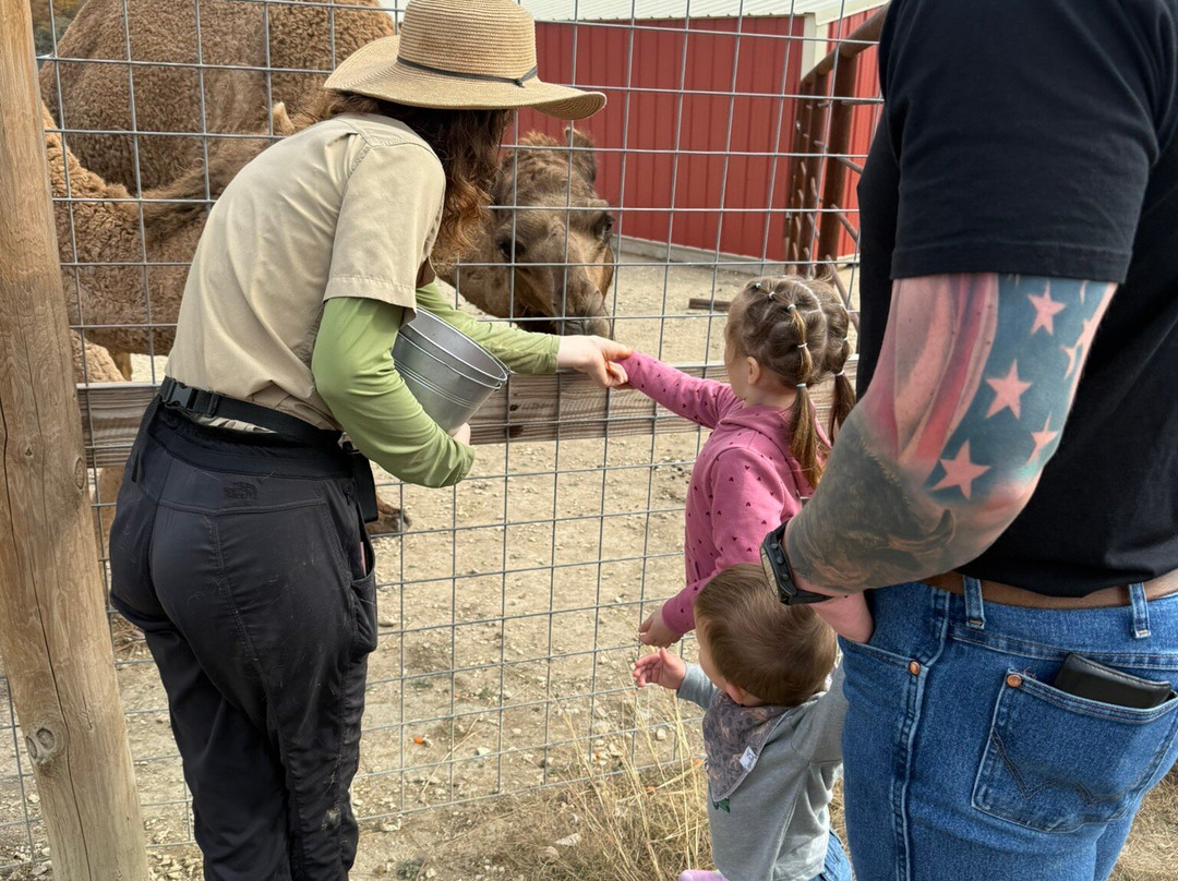 Grapetown Vineyard-弗雷德里克斯堡必去景点