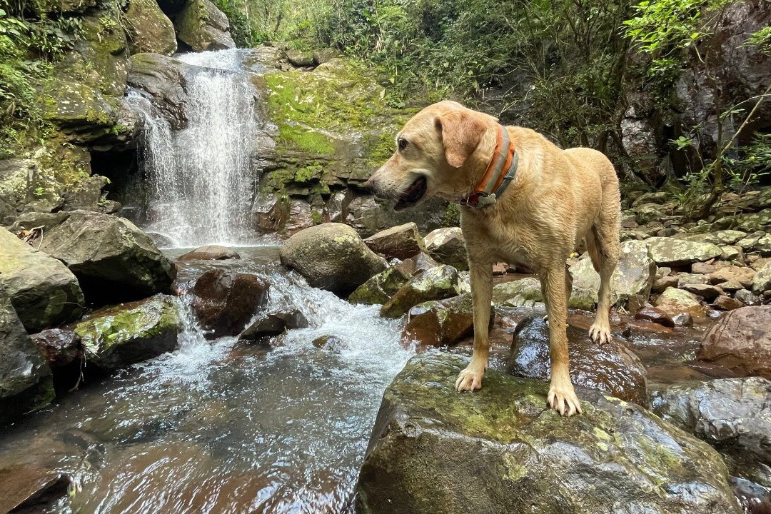 Cachoeira dos Inácios-Praia Grande必去景点