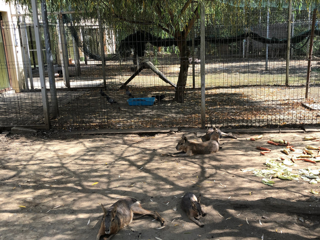 Sibiu Zoological Garden-锡比乌必去景点