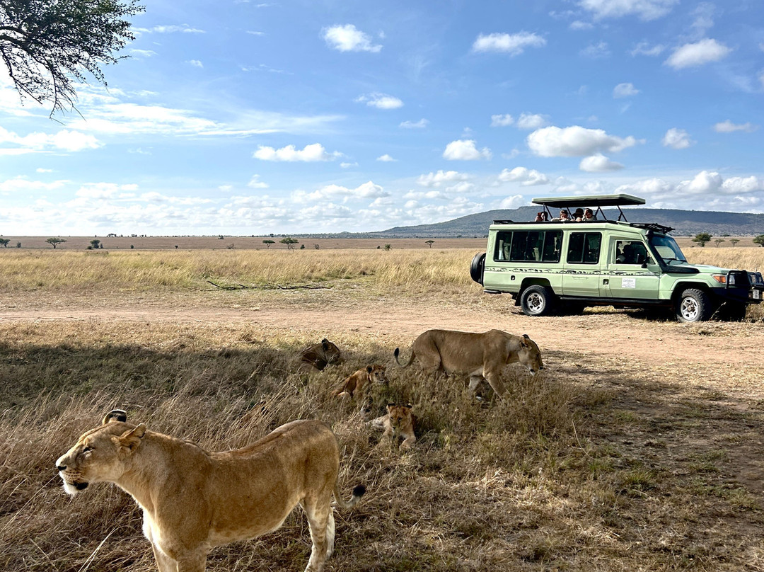 Unlimited Expeditions - The Soul Of Tanzania-阿鲁沙必去景点