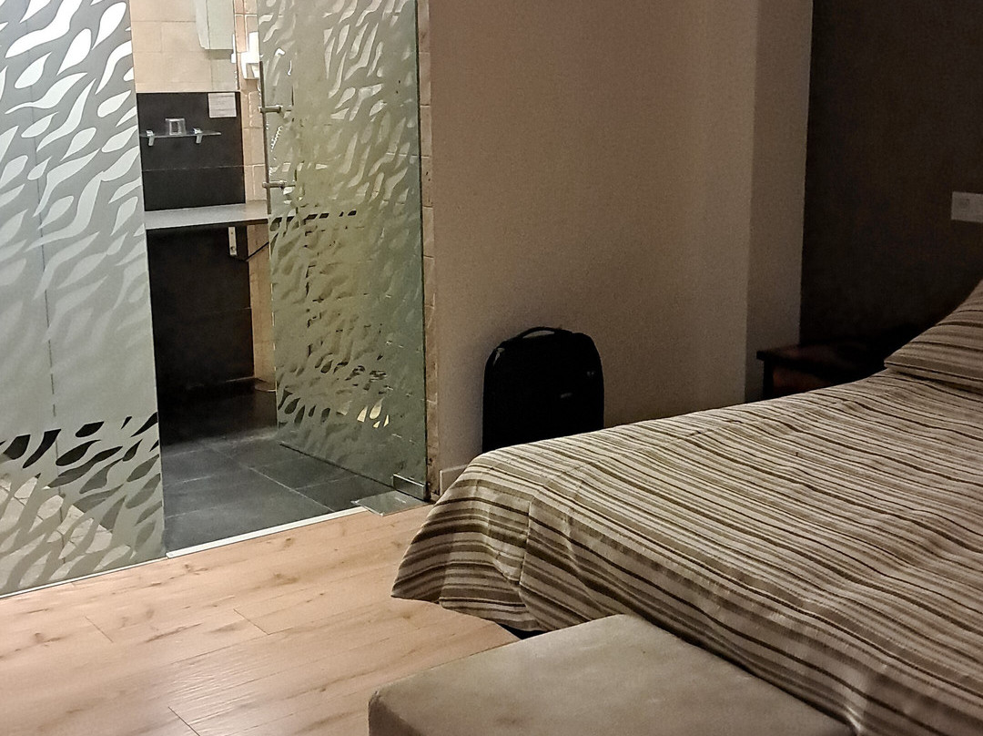 Hotel Palau dels Osset主图