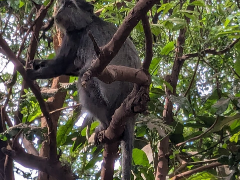 Salt And Pepper Safari-阿鲁沙必去景点