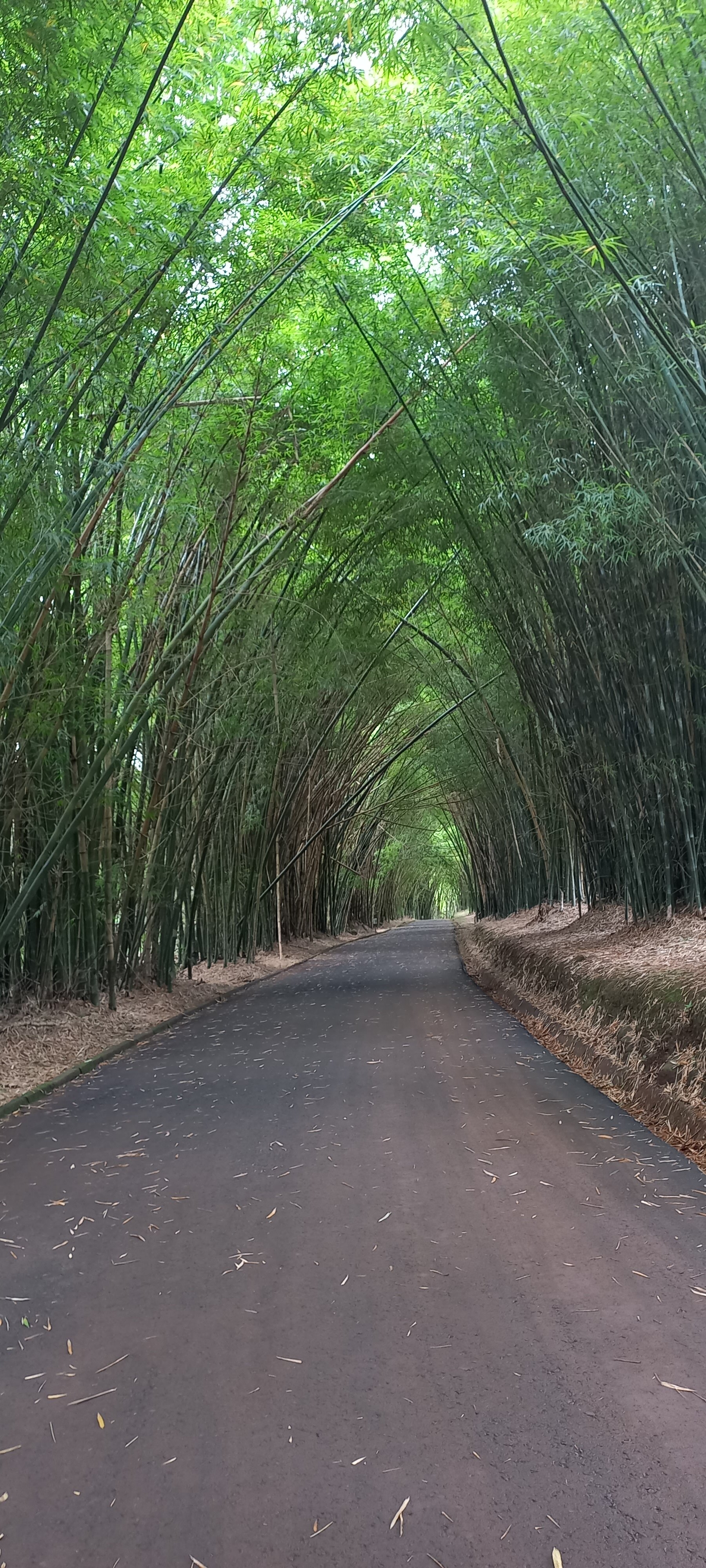 Lagos De Jurema Termas Resort-浴室