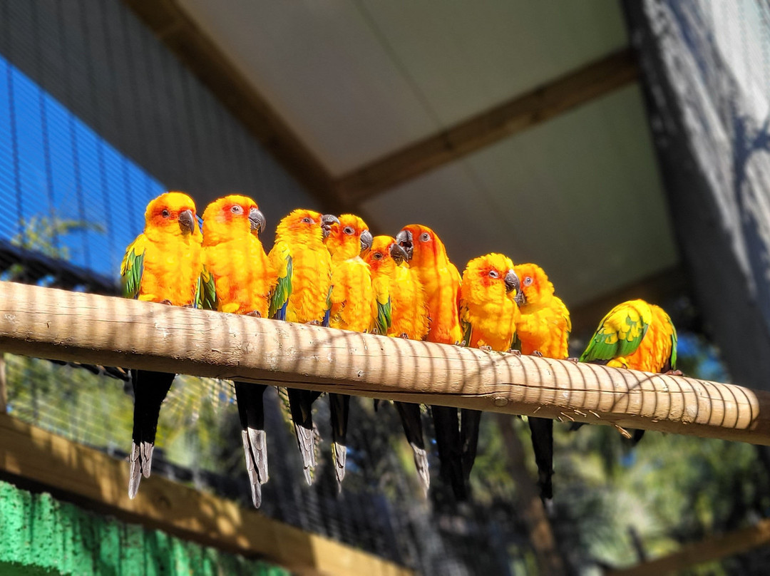 Jardin del Papagayo-Benicarlo必去景点